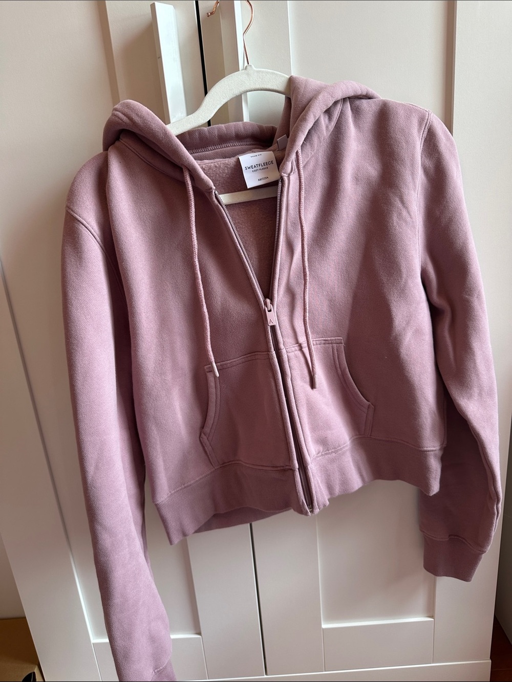 Aritzia Cozy Fleece Snug Zip Hoodie